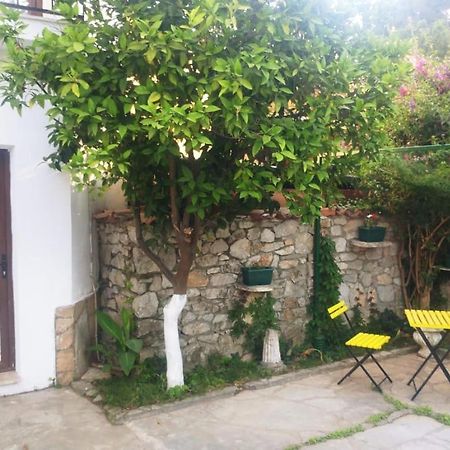 Nehir Dalyan Boutique Otel Ortaca  Zewnętrze zdjęcie