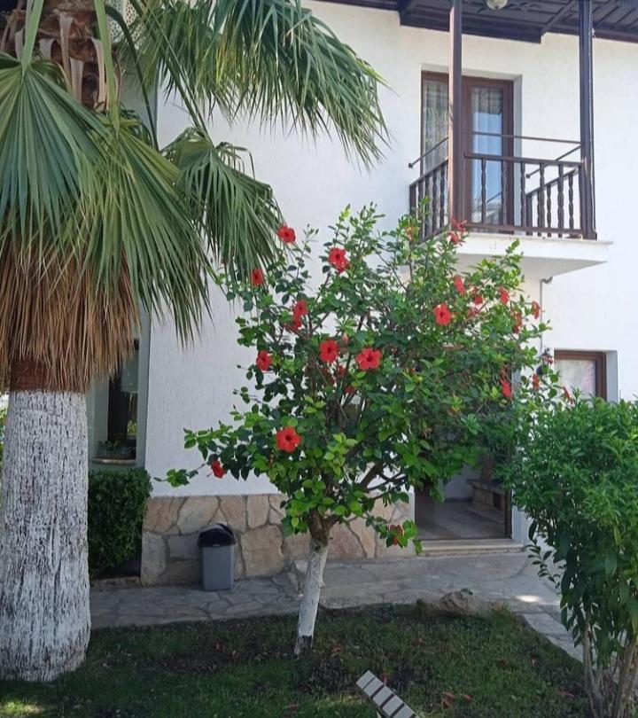 Nehir Dalyan Boutique Otel Ortaca  Zewnętrze zdjęcie