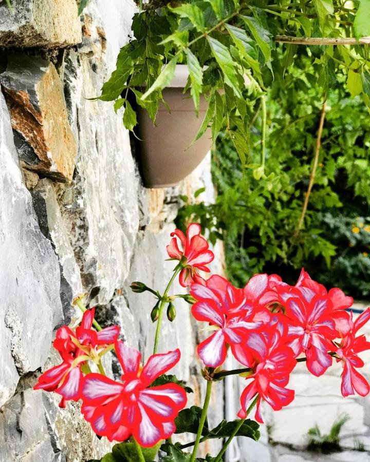 Nehir Dalyan Boutique Otel Ortaca  Zewnętrze zdjęcie